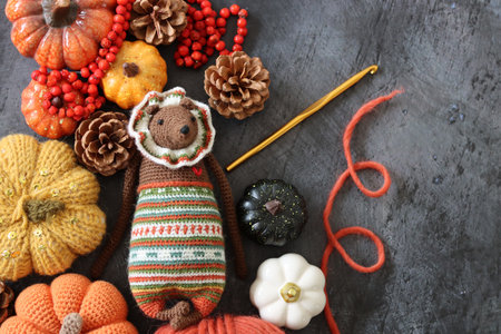 Handmade knitted toy with pumpkins and cones on dark background with copy space. Autumn composition.の写真素材
