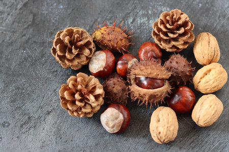 Autumnal still life with chestnuts, pine cones and walnuts