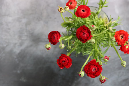 Bouquet of beautiful ranunculus flowers on grey background, closeup