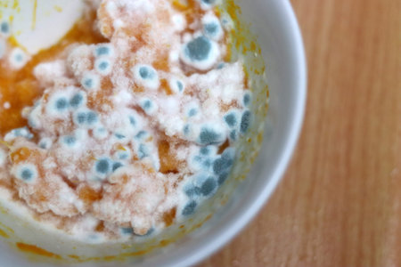 Moldy moldy food in a white bowl on the tableの写真素材