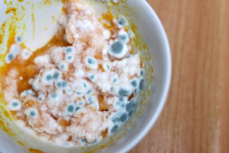 Moldy moldy food in a bowl on the table.の写真素材