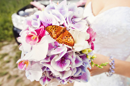 A butterfly sitting on a bright colorful orchid wedding bouquet.の写真素材