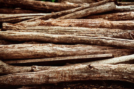 Heap of aged brown wooden logs as a natural background.の写真素材