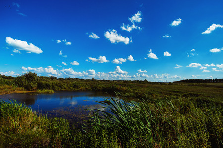 Beautiful rural landscape of blue lake with fresh green grass at summer fluffy clods bright sky background.の写真素材