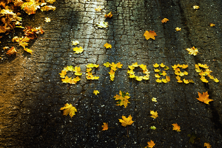 Word October made of yellow autumn leaves at asphalt background.の写真素材