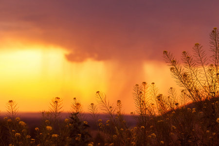 Beautiful summer landscape of wildflowers at top of hill at stunning rainy sky background.