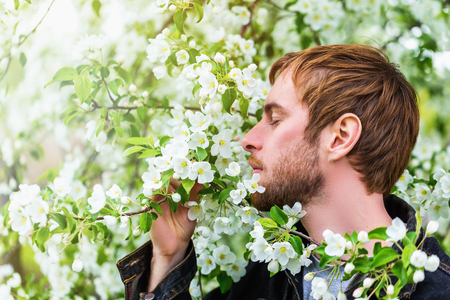 Portrait of bearded young model smelling cherry blossoms at spring garden background.の写真素材