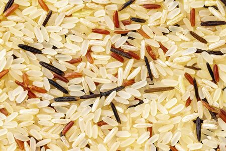 Macro mix of red, brown, black and steamed white rice as a natural food background.の写真素材