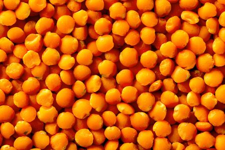 Macro top view image of red lentil beans as a natural healthy lifestyle background.の写真素材