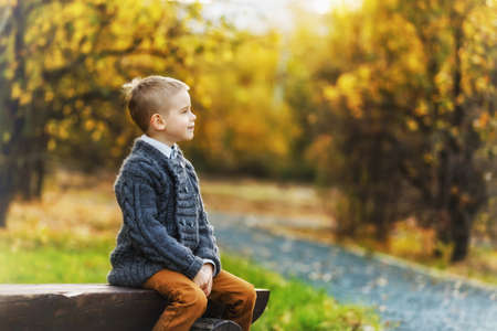 Cute little boy is sitting alone at wooden bench at autumn golden forest background.の写真素材