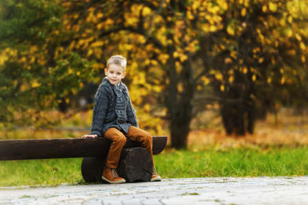 Cute smiling little boy is sitting alone at wooden bench at autumn golden forest background.の写真素材
