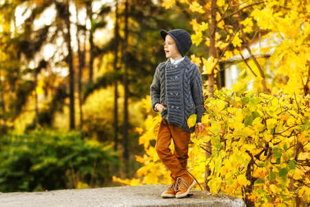 Portrait of trendy little boy posing at golden autumn October park background.の写真素材