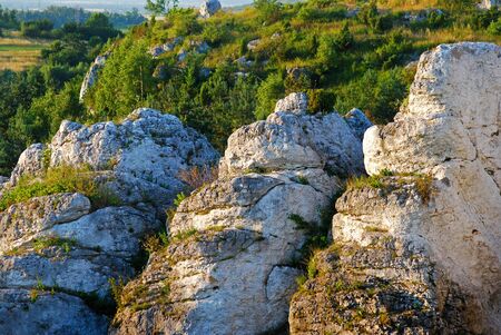 Jurassic landscape background.の写真素材