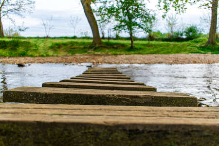 Wooden steps leading to a small lake in the Netherlands in the spring.の写真素材
