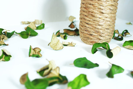 Natural jute twine roll surrounded by dried leaves on a white background. Rustic eco friendly...