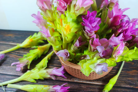 A basket filled with fresh pink Siam tulip or curcuma flowers on rustic wooden table with scattered stems, tropical floral still life with copy space and natural arrangementの写真素材