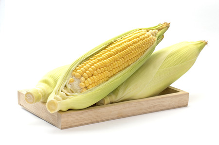 Sweet corn in wooden tary on a white backgroundの写真素材