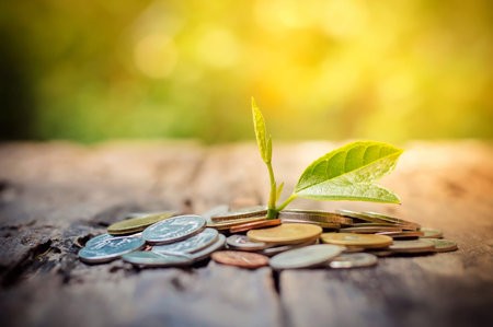 Plant growing in saving coins on wooden background