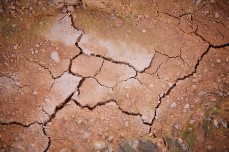 Texture background of cracked earthの写真素材