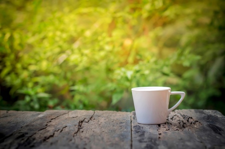 Coffee cup on wooden table in the morningの写真素材
