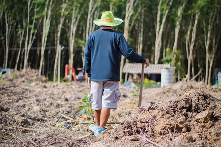 A farmer with a hoe working in the farmlandの写真素材