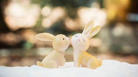 Happy easter, Couple rabbit on white sandの写真素材