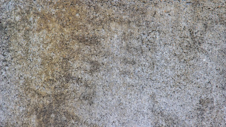 Texture of gray polished cement for background 