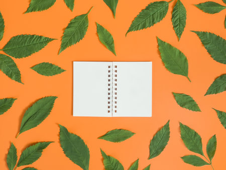 Directly above view of blank notebook with green leaf on orange background.の写真素材