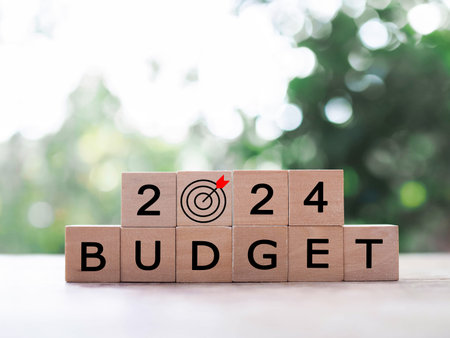 Wooden blocks with the word BUDGET and number 2024. The concept about budget planning and allocation...