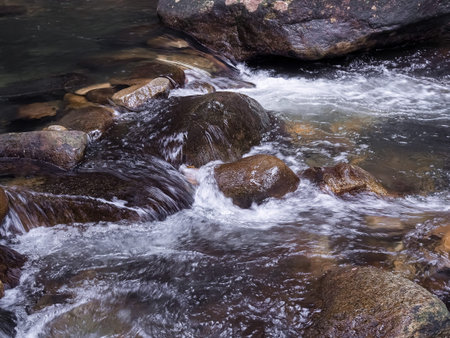 The stream flowing through the rocks in forest.
