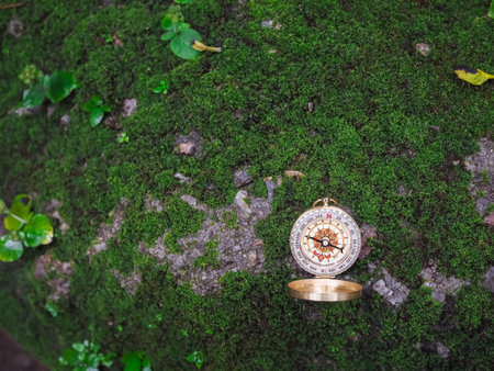 Compass on the rock with green moss background. The concept of world tourism day, Searching the...