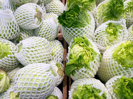 Organic chinese cabbage and cabbage in basket for selling in the supermarket.の写真素材