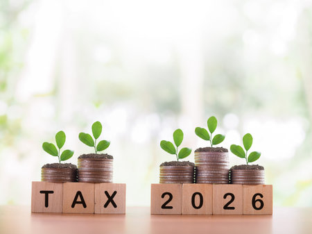 Wooden blocks with the word TAX, Number 2026 and plants growing up on stack of coins. The concept of...