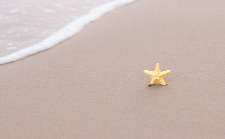 Starfish on the beach with sea backgroundの写真素材