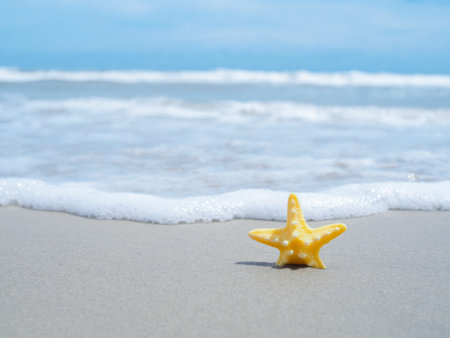 Starfish on the beach with ocean wavesの写真素材