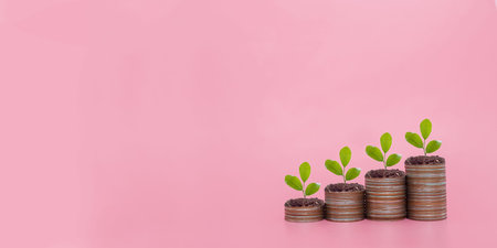 Plants growing up on stack of coins. The concept of save money for prepare in the future
