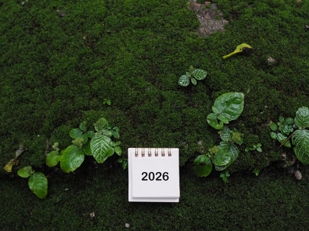 2026 desk calendar on the rock with green moss background. Resolution, Goal, Action, Planning, and manage to success business.の写真素材