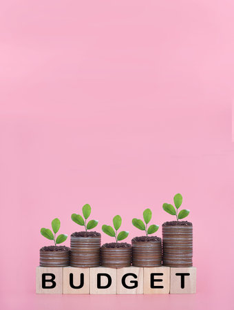 Wooden blocks with the word BUDGET and plants growing up on stack of coins. The concept about budget planning and allocationの写真素材