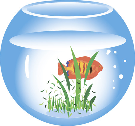 Aquariumのイラスト素材