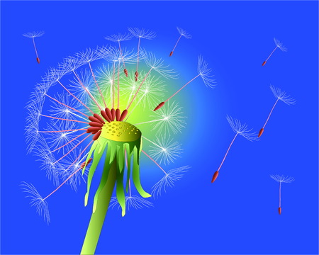 Dandelion inflated by a wind on a blue background of the skyのイラスト素材