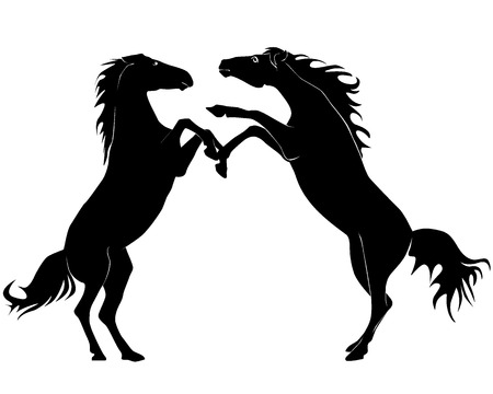 Black silhouettes of two horses on a white backgroundのイラスト素材