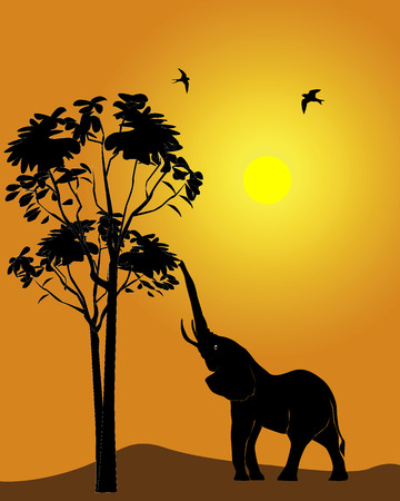 Black silhouette of an elephant on an orange backgroundのイラスト素材