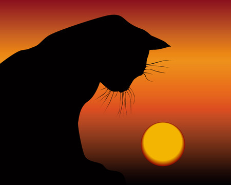 black cat and the setting sun on an orange backgroundのイラスト素材