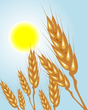 wheat ears against the blue sky and sunのイラスト素材