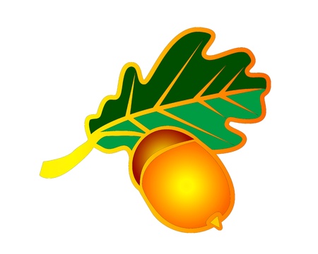 icon in the form of oak leaves and acorns  on  white backgroundのイラスト素材
