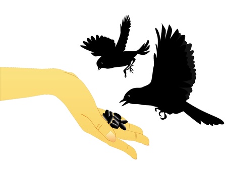 bird feeding with their hands on a white backgroundのイラスト素材