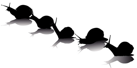 black silhouettes of the snail on a white backgroundのイラスト素材