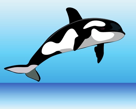 Killer Whale over the water on a blue backgroundのイラスト素材