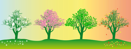 tree in different seasons on a colored backgroundのイラスト素材