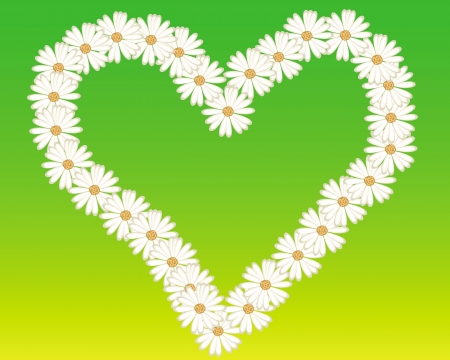 heart of white daisies yellow-green backgroundのイラスト素材